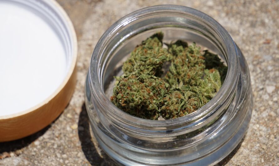 Семена конопли Critical Mass feminised