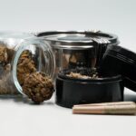 Семена конопли свойства и применение img-2526.jpg