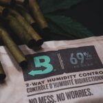 Сорт конопли Chingis Khan feminised от VIP Seeds img-2556.jpg