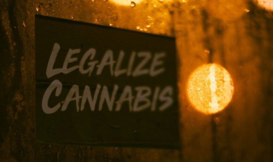 Покупка семян конопли в России и их свойства