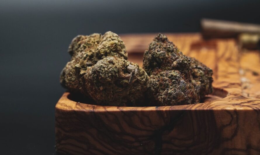 Семена конопли свойства и применение