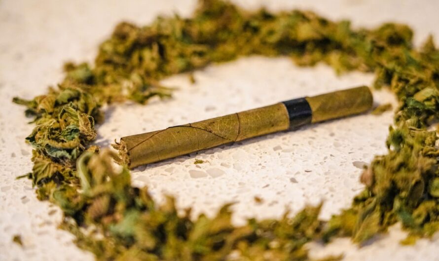 Купить спайс через телефон онлайн и его свойства