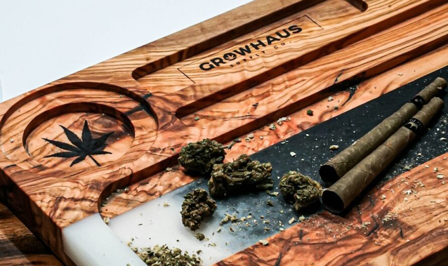 Проращивание семян конопли