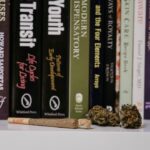 Характеристика семян конопли CBD Blue Shark feminised img-2652.jpg