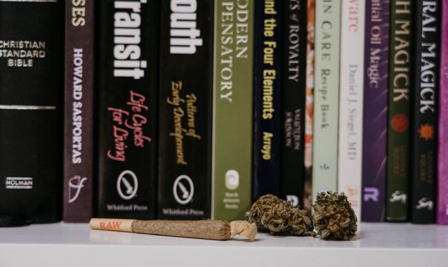 Характеристика семян конопли CBD Blue Shark feminised