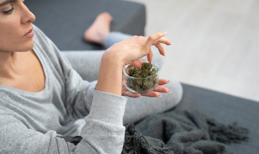 Преимущества и особенности регулярных семян конопли