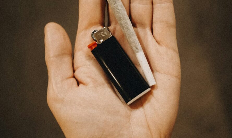 Семена конопли индика для выращивания и покупки