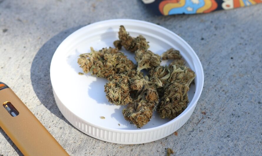 Автоцветущие семена конопли особенности и преимущества выращивания