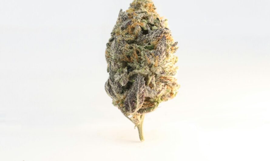 Купить гашиш наложенным платежом