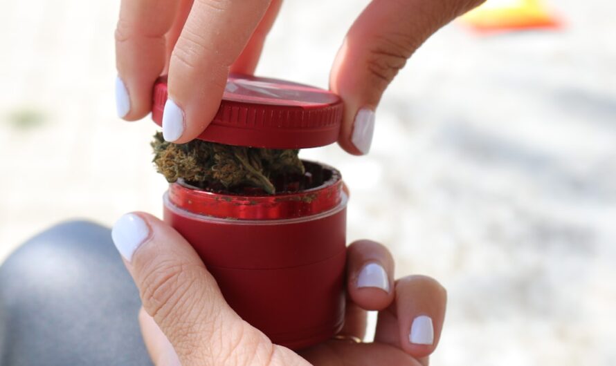 Купить семена карликовой марихуаны для выращивания собственного каннабиса