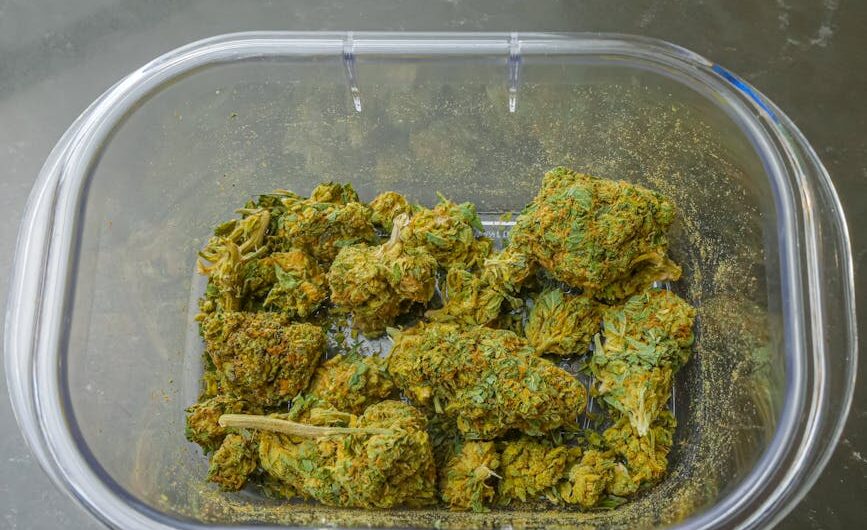 Семена марихуаны в Донецке