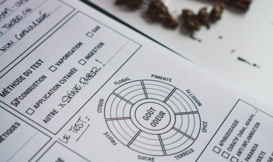 Опиум и его влияние на общество