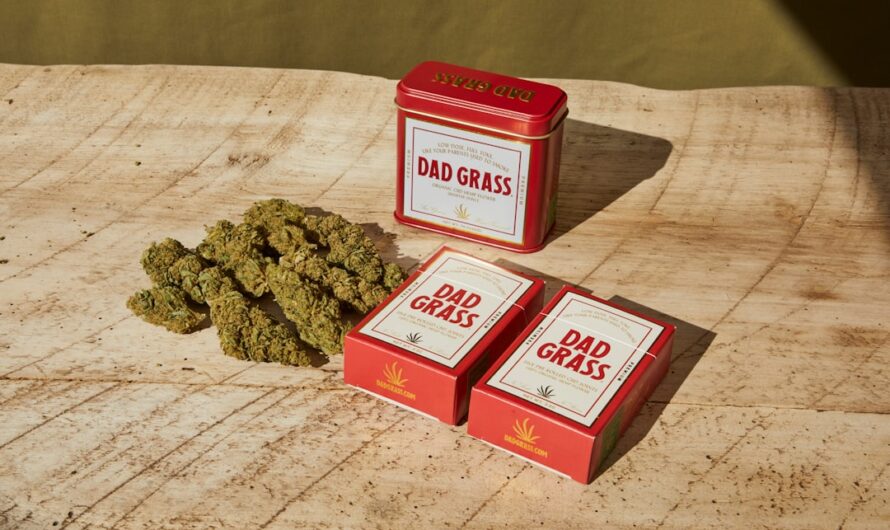 Марихуана в Праге: Правовой Статус и Как Купить