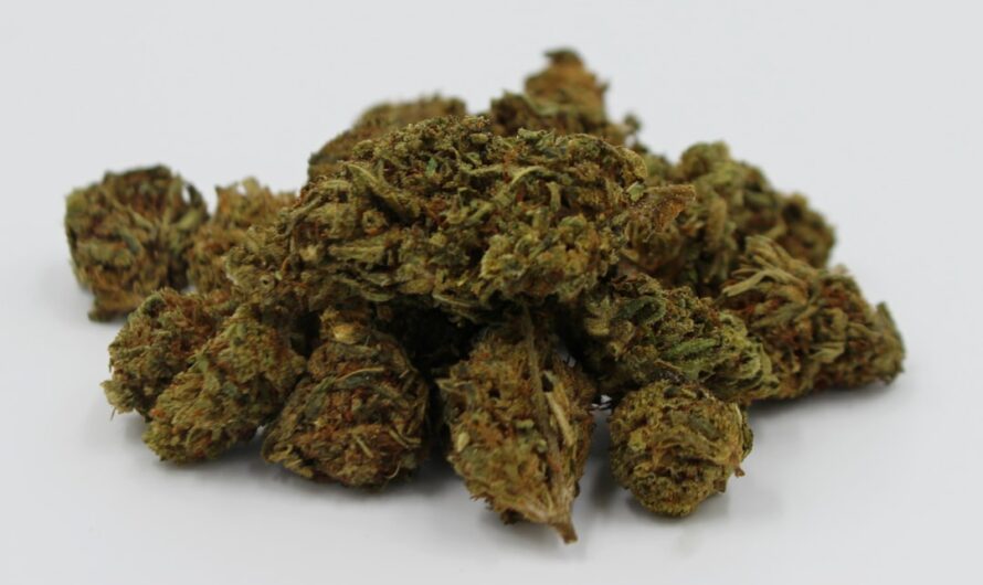 Покупка марихуаны в Берлине цена и доступность в аптеках и магазинах