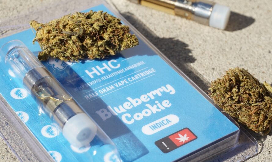 Покупка семян конопли в Санкт-Петербурге