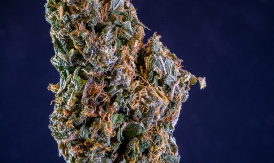 Марихуана и ее свойства