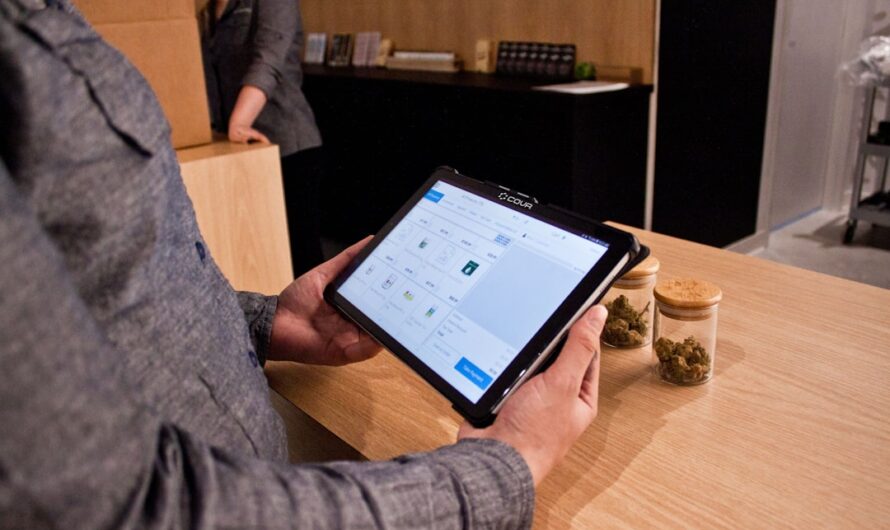 Сорт конопли Lemon Skunk CBD feminised от Ganja Seeds свойства и характеристики семян конопли