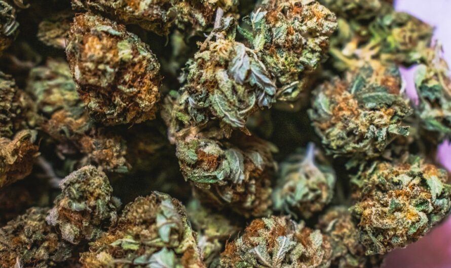 Конопляные брелоки как экологичный и оригинальный аксессуар