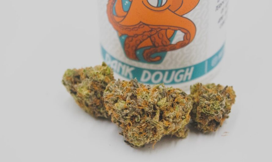 Морфин в медицине и его применение