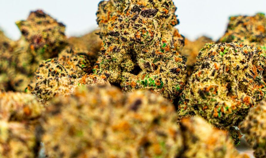 Покупка семян конопли онлайн преимущества и особенности заказа