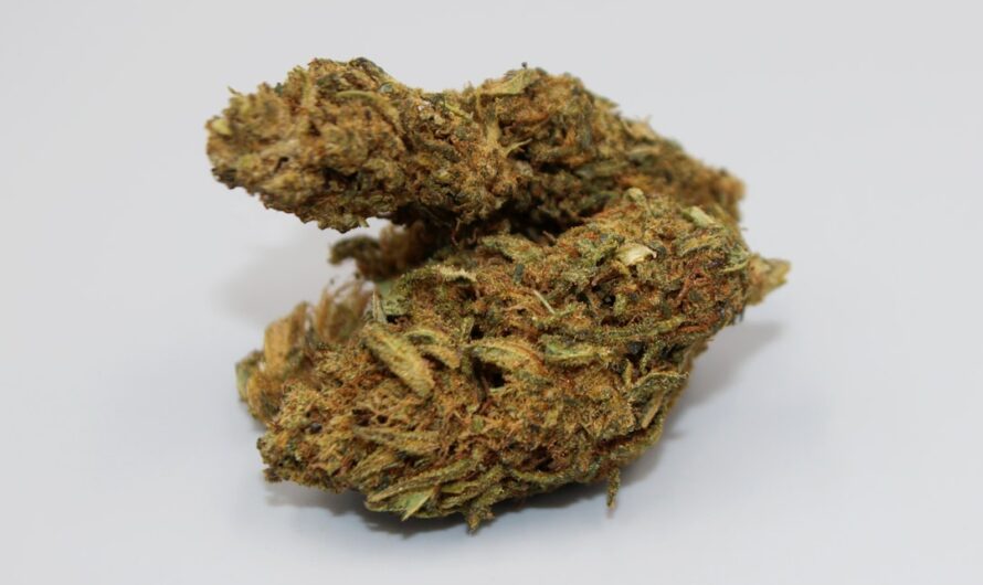 Наркозависимость в Челябинске и области