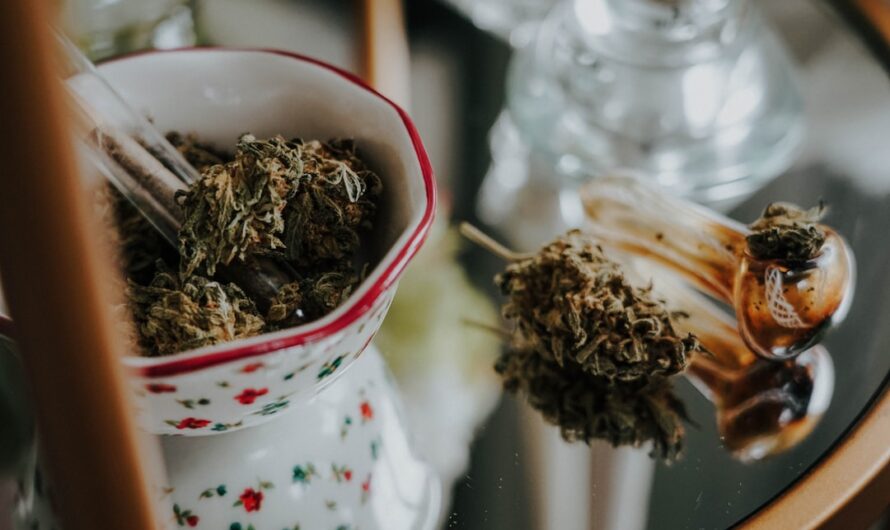 Семена конопли и их преимущества