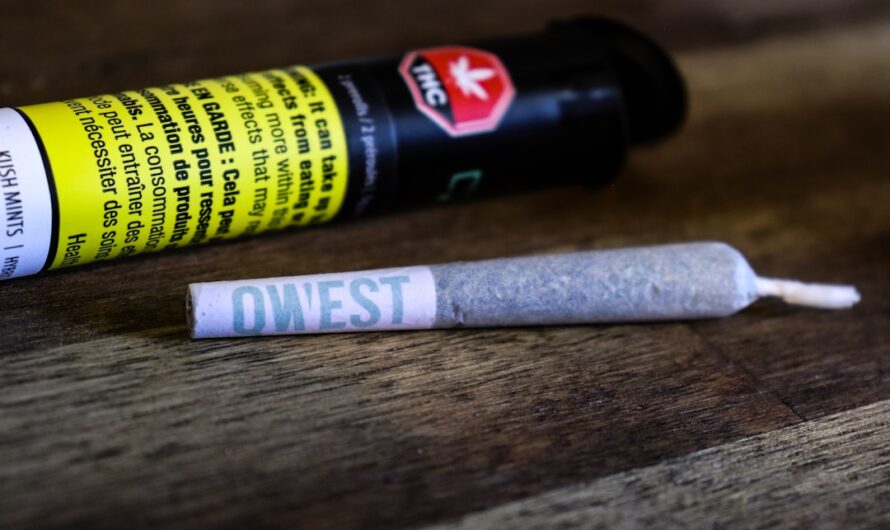 Автоцветущие семена конопли свойства и преимущества выращивания