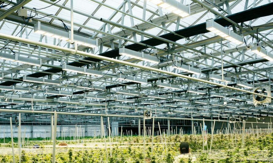 Приобретение спайса в Пензе и его правовой статус