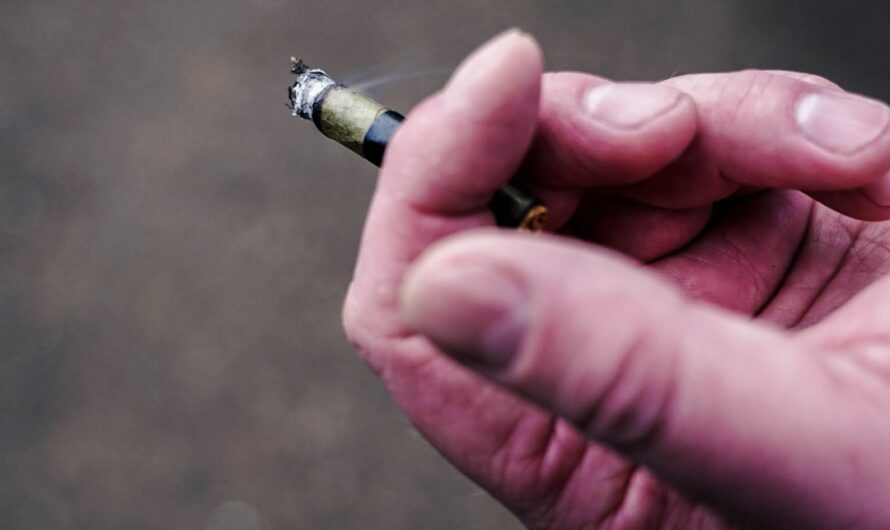 Покупка семян конопли онлайн в Украине и России