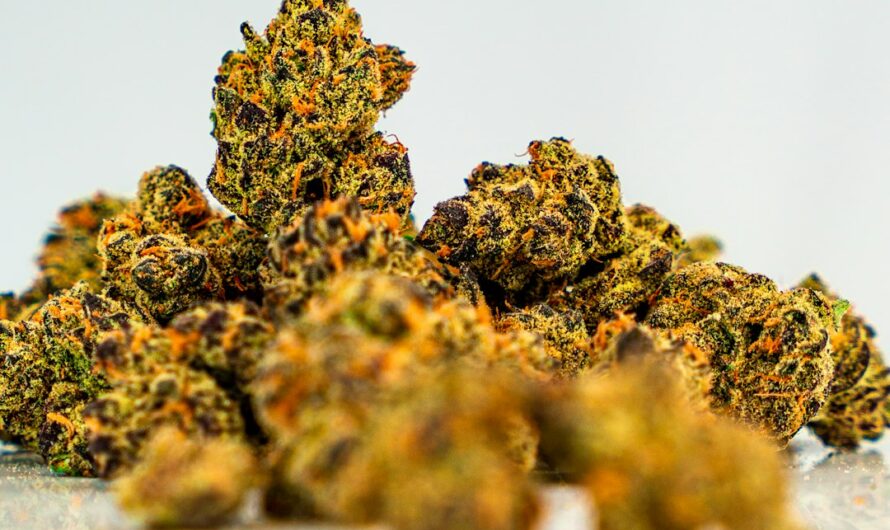 Натуральные психоделики и их свойства