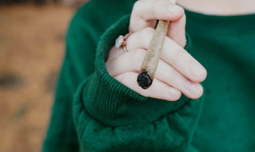 Сальвия — что это такое и как купить шалфей предсказателей