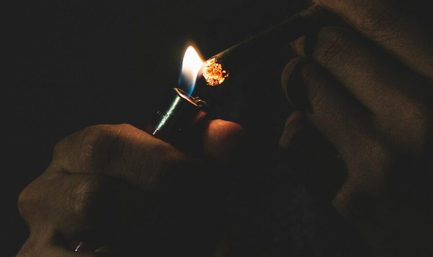 Производство семян конопли и их значение в промышленности