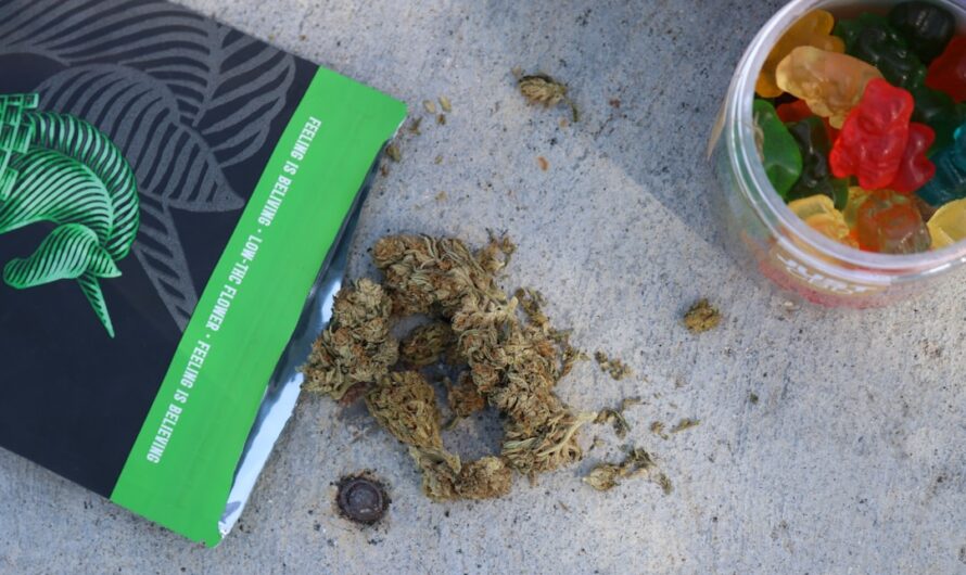 Кодеинсодержащие препараты и их приобретение по рецепту врача