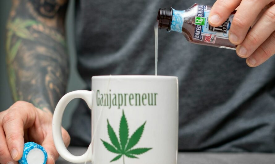 Купить семена конопли в Чехии: свойства и доступность семян