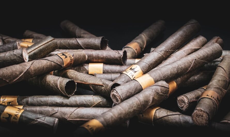 Как Вырастить Семена Марихуаны Пошаговое Руководство