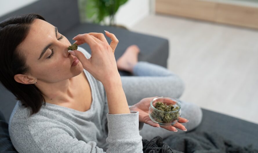 Подготовка семян конопли к посеву