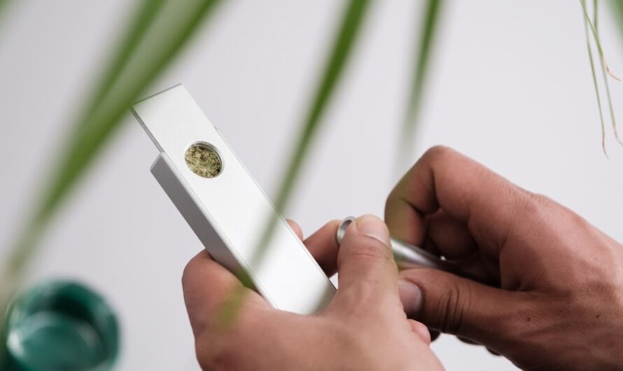 Семена конопли свойства и применение