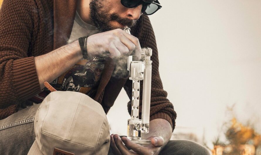 Выращивание конопли из семян в Крыму