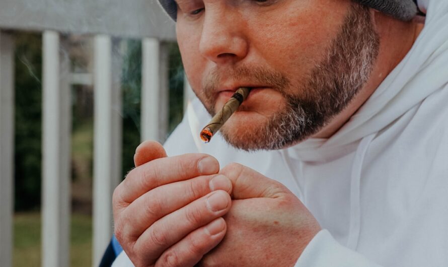 Купить Семена Конопли с Доставкой на Дом в России