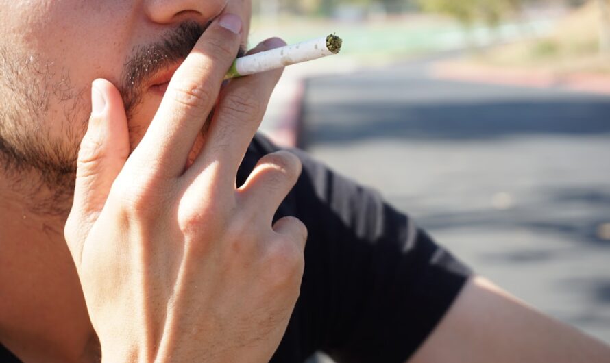 Спайс и его особенности в Ульяновске