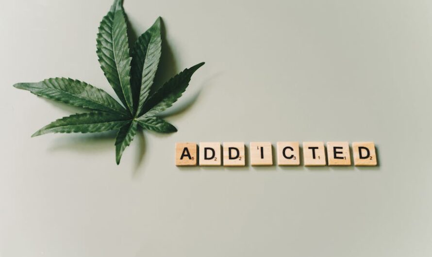 Купить семена конопли в СПб: особенности и преимущества покупки семян конопли в интернет магазине в Санкт-Петербурге онлайн