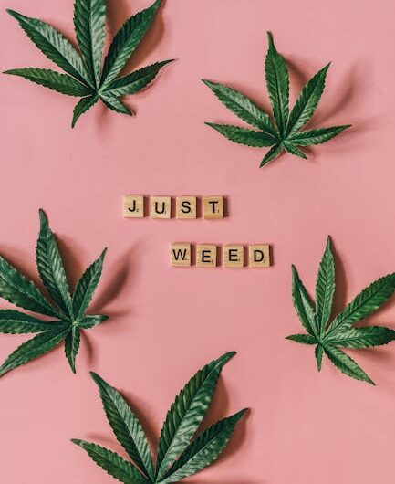 Свойства и приобретение семян конопли в Москве