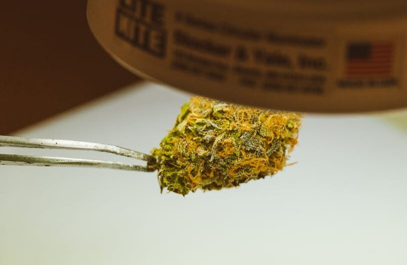 Свойства и применение семян конопли посевной