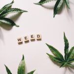 Семена Конопли как Альтернативный Источник Дизельного Топлива img-655.jpg