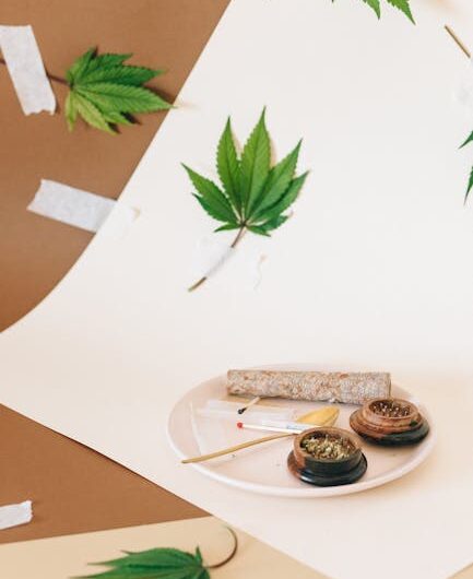 Семена конопли Джек ла Мота феминизированные от Medical Seeds