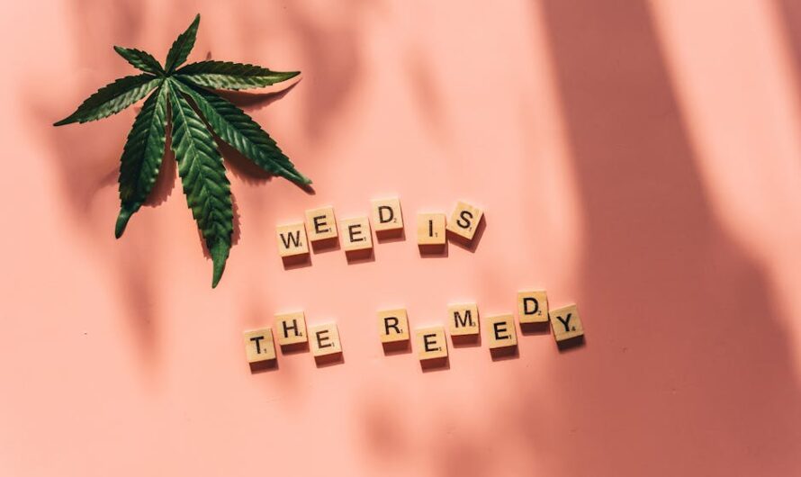 Почему не прорастают семена конопли и как решить проблему