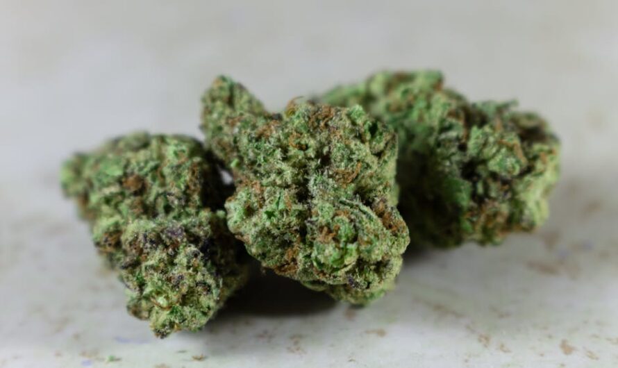 Семена конопли Auto Bubblelicious feminised от Ganja Seeds