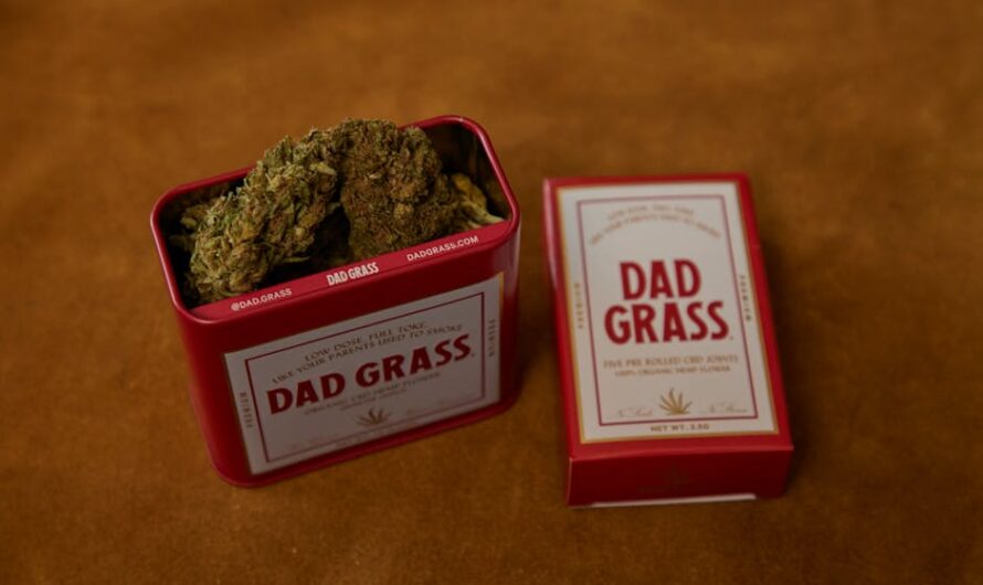 Сорт конопли Blueberry свойства и выращивание семян конопли Blueberry