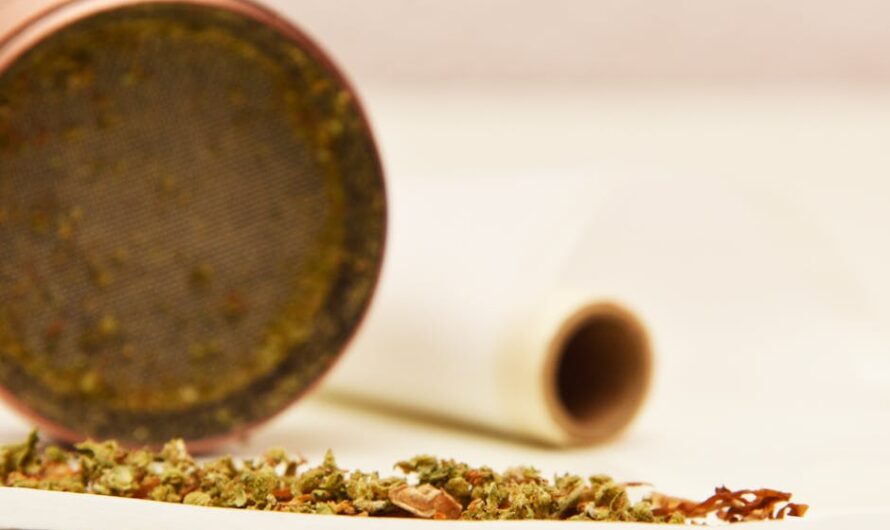 Лучший Способ Проращивания Семян Марихуаны